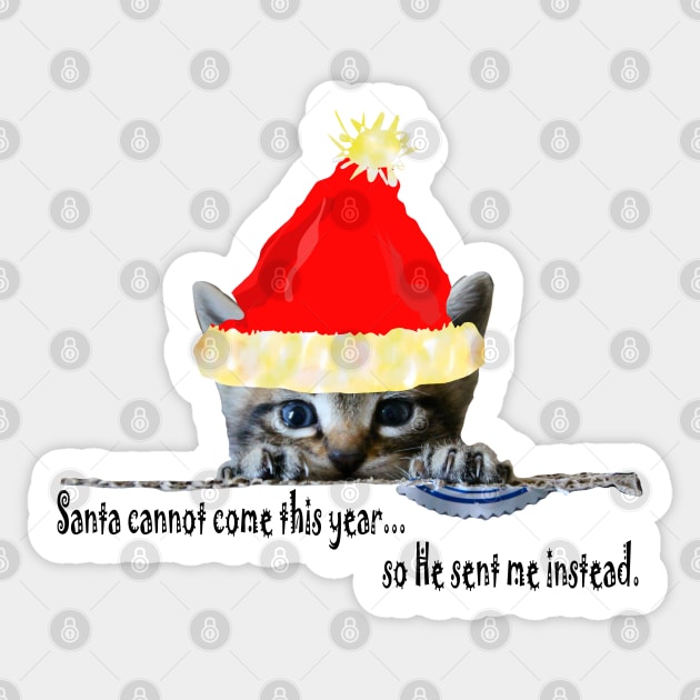 Funny christmas cats cheap